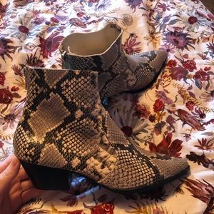 Steve Madden Snakeskin Booties